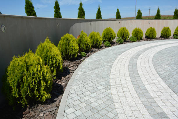 Best Professional Driveway Pavers  in New Prague, MN